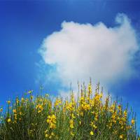 Notre zone d'activité pour ce service Notaire pour acheter ou vendre un bien immobilier