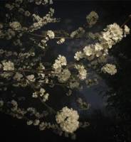 Nos prestations sur le secteur de près de Nogent-sur-Marne 94130