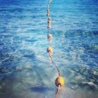 Nos prestations sur le secteur de près de Saint-Mandé 94160